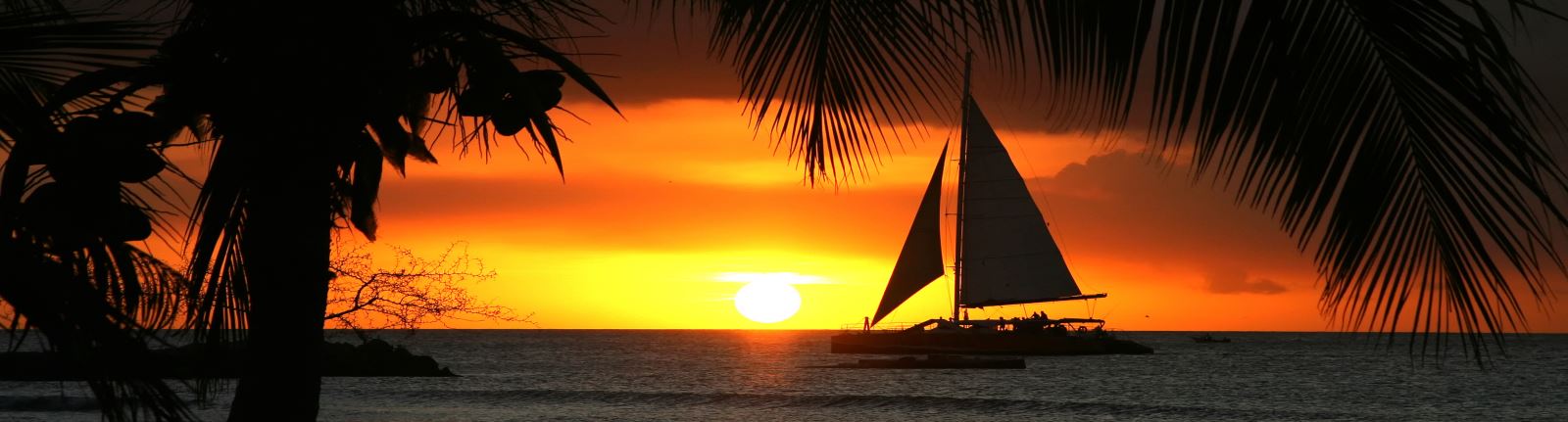 aruba sunset weddings sailboat palm trees